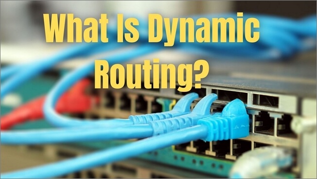 what is dynamic routine