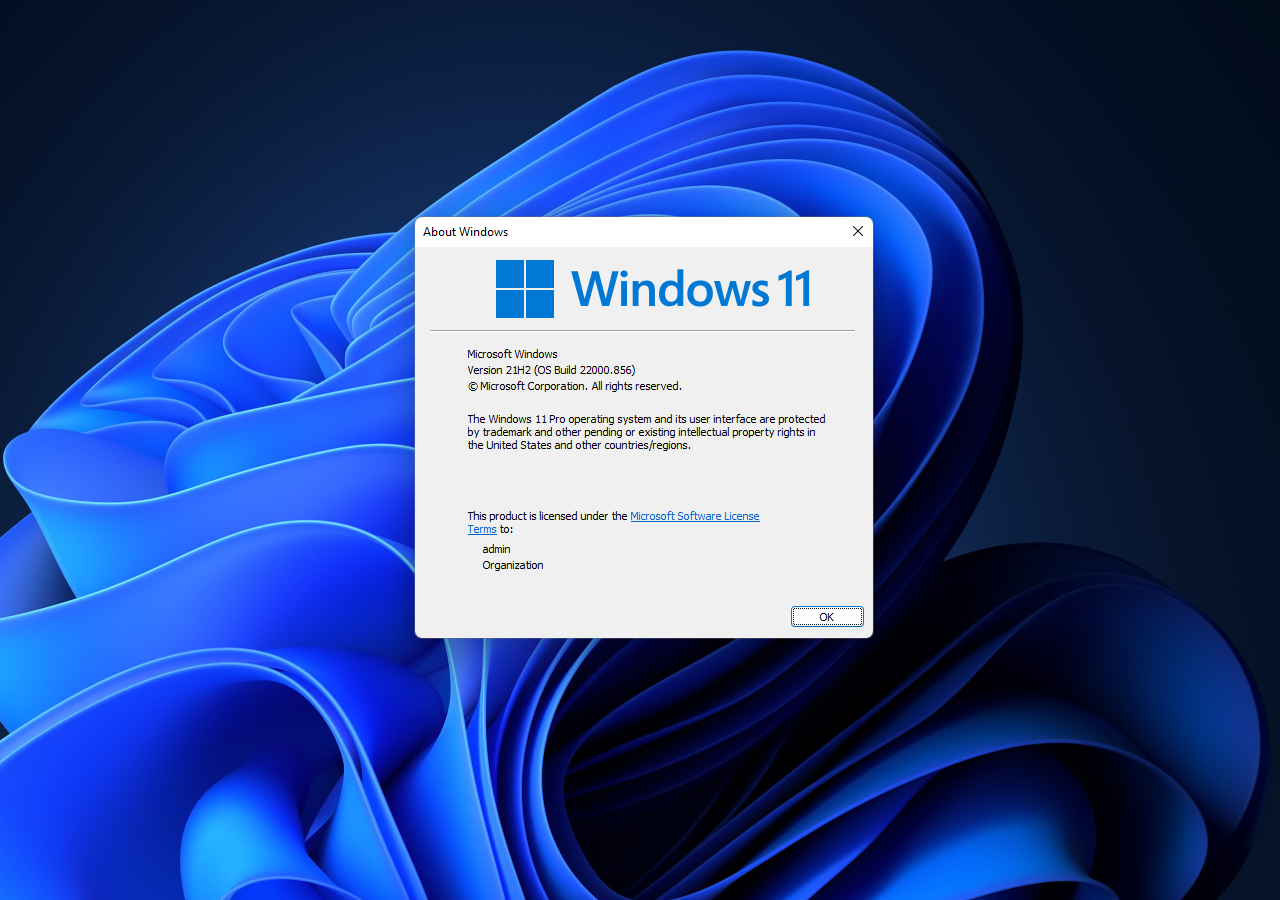 Winver check Windows version