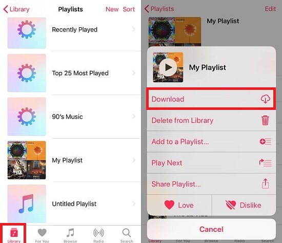 Download audios from Apple Music