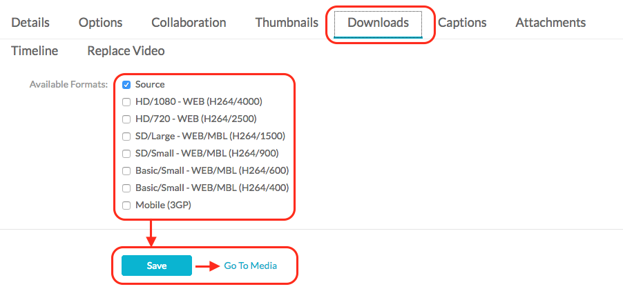 download-kaltura-video-enable-downloading