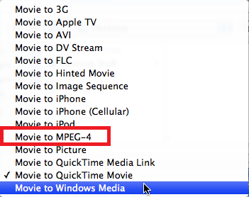 Choose Movie to MPEG-4