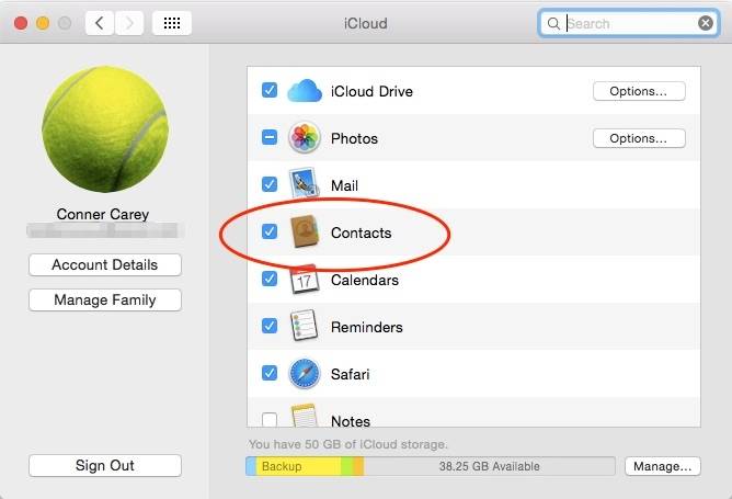 How to transfer contacts from iPhone to Mac via iCloud settings