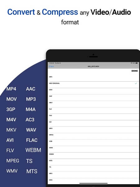 Video Converter and Processor