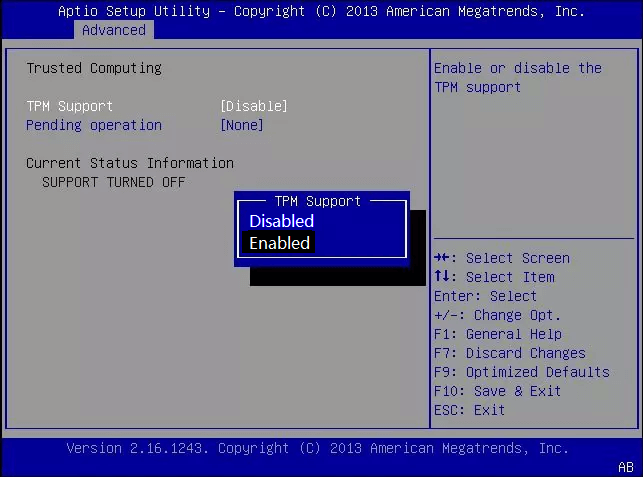 enable tpm in bios