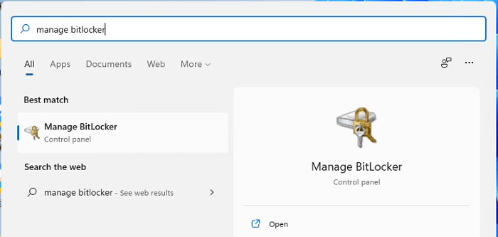 Enter Manage BitLocker in search bar