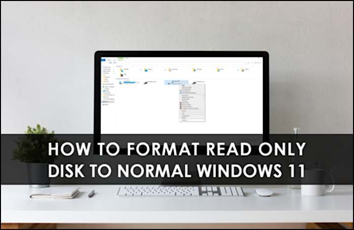 how to format read only disk to normal windows 11