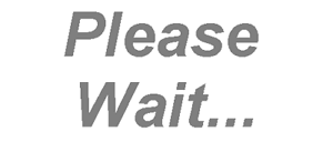 wait patiently until the file copying process completes