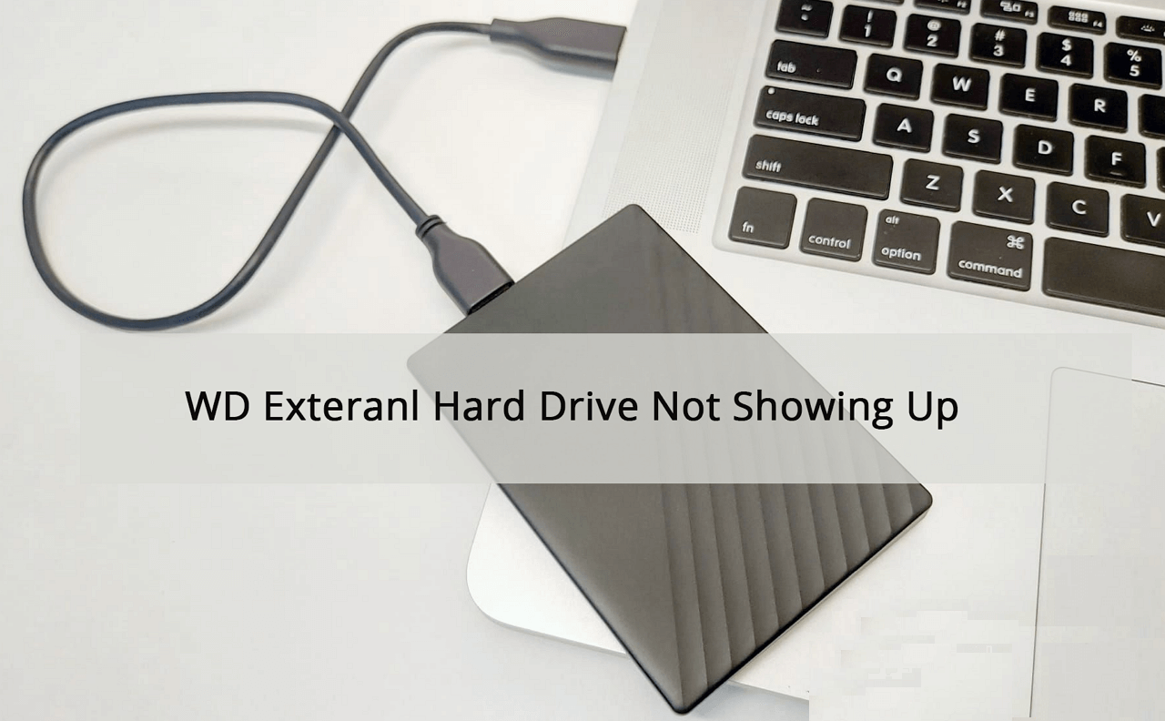 WD exteranl hard drive
