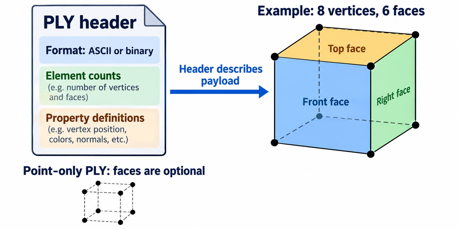 a PLY header describes elements and properties; point-only PLY data can omit faces.