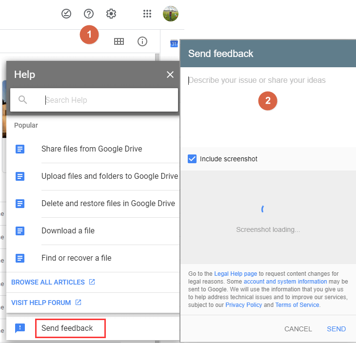 recover deleted files from Cloud drive